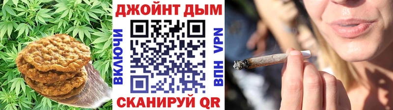 Cannafood конопля  блэк спрут сайт  Сенгилей 