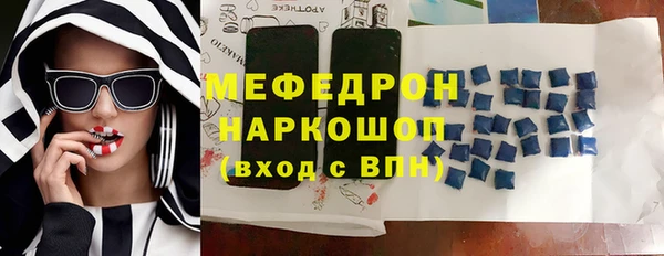 spice Богородицк