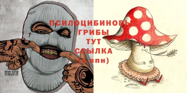 ПСИЛОЦИБИНОВЫЕ ГРИБЫ Аркадак