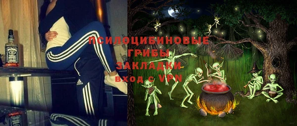 ПСИЛОЦИБИНОВЫЕ ГРИБЫ Аркадак