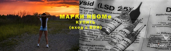 ПСИЛОЦИБИНОВЫЕ ГРИБЫ Аркадак